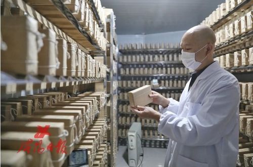 抢抓陕茶振兴机遇 咸阳茯茶“链”动产业兴